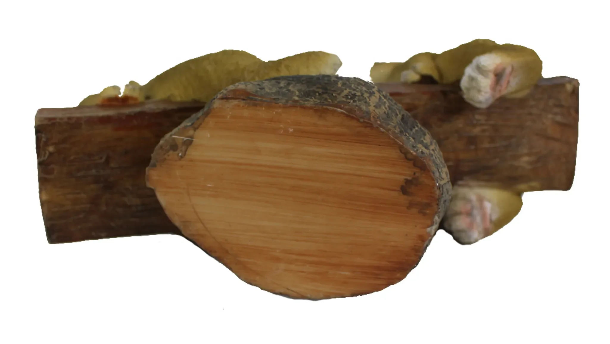 Dekofigur Hasenfamilie auf Wippe – Gartenfigur aus Polyresin